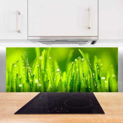 Panneaux de cuisine en verre Herbe nature vert