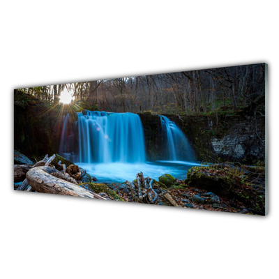 Panneaux de cuisine en verre Chute d'eau orêt nature jaune brun bleu vert