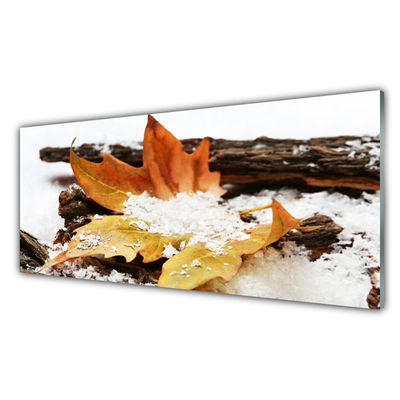 Panneaux de cuisine en verre Feuille floral brun