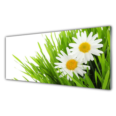 Panneaux de cuisine en verre Marguerite herbe floral vert jaune blanc
