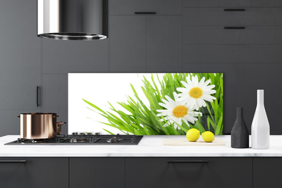 Panneaux de cuisine en verre Marguerite herbe floral vert jaune blanc