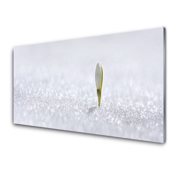 Panneaux de cuisine en verre Fleur floral vert blanc