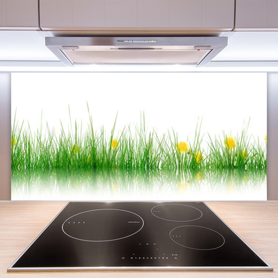 Panneaux de cuisine en verre Herbe nature vert