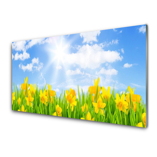 Panneaux de cuisine en verre Soleil jonquille floral vert jaune blanc -  Tulup.fr