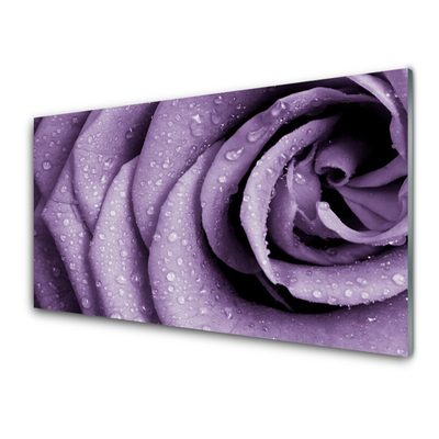 Panneaux de cuisine en verre Rose floral violet