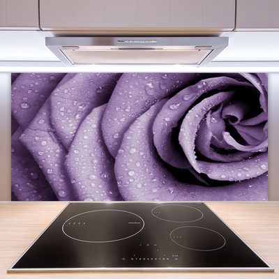 Panneaux de cuisine en verre Rose floral violet