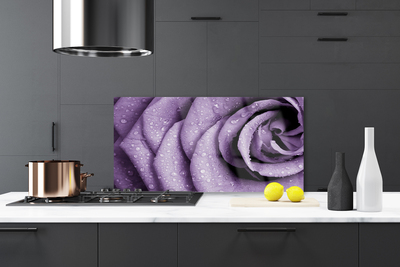 Panneaux de cuisine en verre Rose floral violet