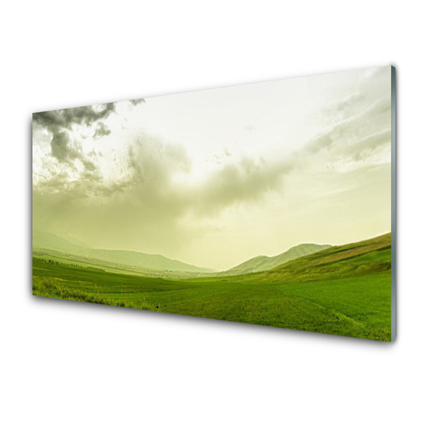 Panneaux de cuisine en verre Prairie nature vert