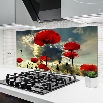 Panneaux de cuisine en verre Coquelicots floral rouge