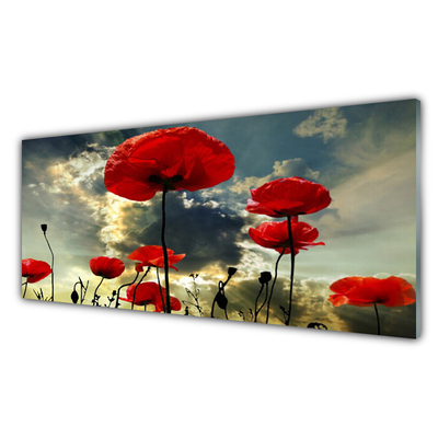 Panneaux de cuisine en verre Coquelicots floral rouge