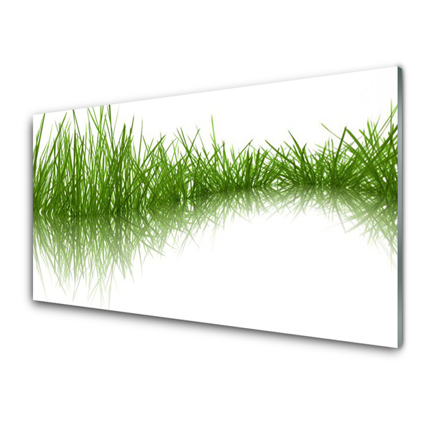 Panneaux de cuisine en verre Herbe nature vert