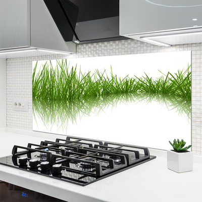 Panneaux de cuisine en verre Herbe nature vert