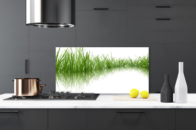 Panneaux de cuisine en verre Herbe nature vert