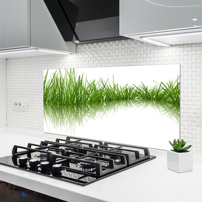 Panneaux de cuisine en verre Herbe nature vert