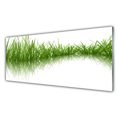 Panneaux de cuisine en verre Herbe nature vert