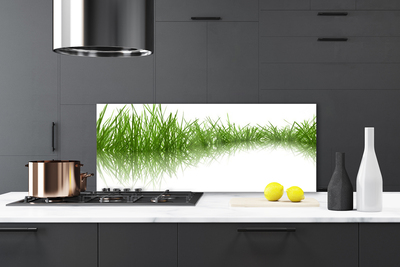 Panneaux de cuisine en verre Herbe nature vert