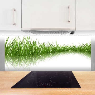 Panneaux de cuisine en verre Herbe nature vert