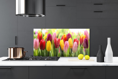 Panneaux de cuisine en verre Tulipes floral rose rouge jaune