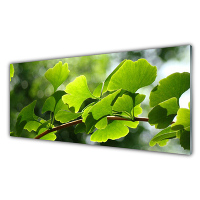 Panneaux de cuisine en verre Feuilles branche floral brun vert