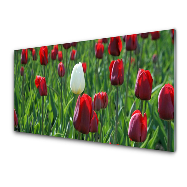 Panneaux de cuisine en verre Tulipes floral rouge blanc vert