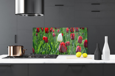 Panneaux de cuisine en verre Tulipes floral rouge blanc vert