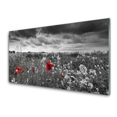 Panneaux de cuisine en verre Fleurs prairie nature gris rouge