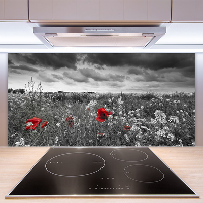 Panneaux de cuisine en verre Fleurs prairie nature gris rouge