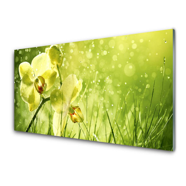 Panneaux de cuisine en verre Fleurs herbe floral vert
