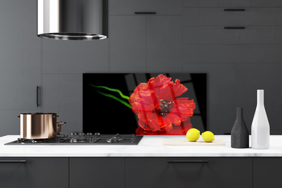 Panneaux de cuisine en verre Fleur floral rouge
