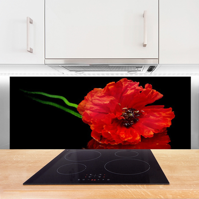 Panneaux de cuisine en verre Fleur floral rouge