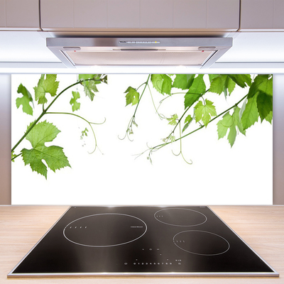 Panneaux de cuisine en verre Branches feuilles floral brun vert