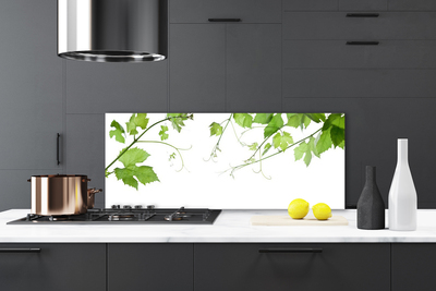 Panneaux de cuisine en verre Branches feuilles floral brun vert