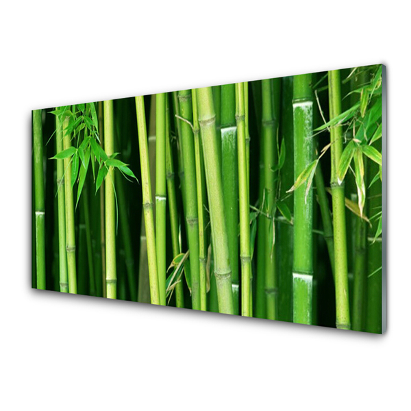 Panneaux de cuisine en verre Bambou floral vert