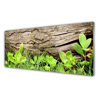 Panneaux de cuisine en verre Feuilles herbe floral vert