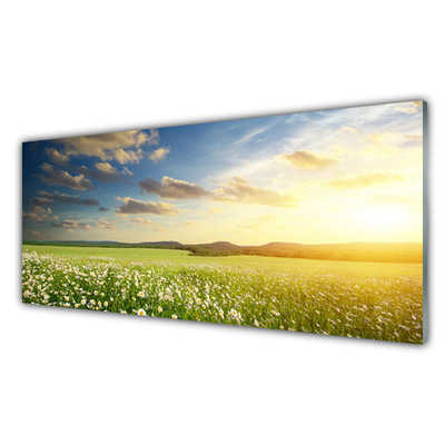 Panneaux de cuisine en verre Fleurs prairie paysage vert blanc