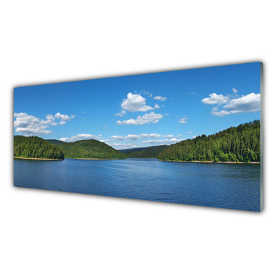 Panneaux de cuisine en verre Forêt lac paysage vert bleu