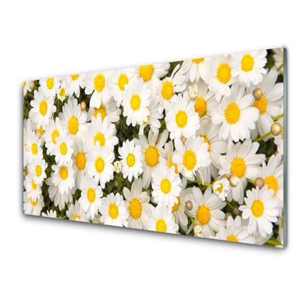 Panneaux de cuisine en verre Marguerite floral jaune blanc