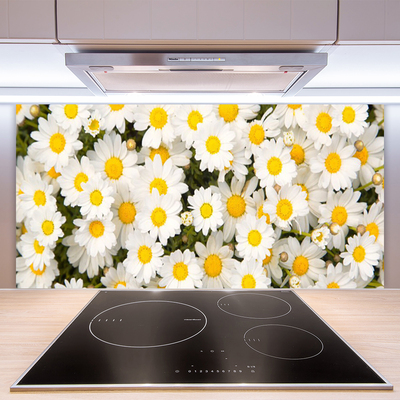 Panneaux de cuisine en verre Marguerite floral jaune blanc