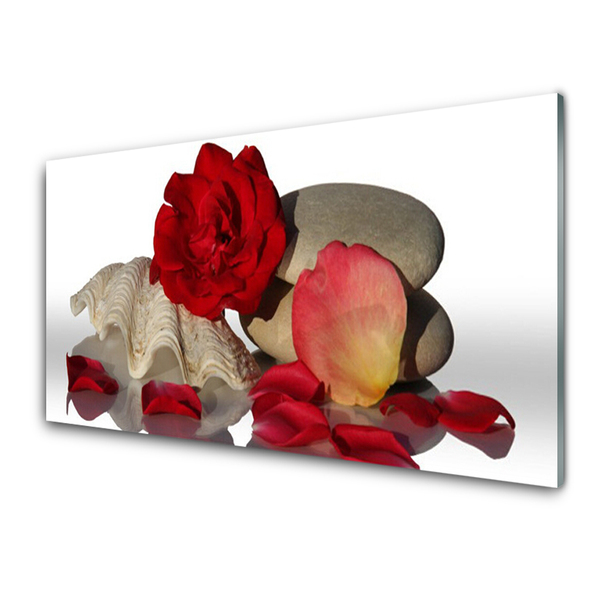 Panneaux de cuisine en verre Rose coquille art rouge blanc gris