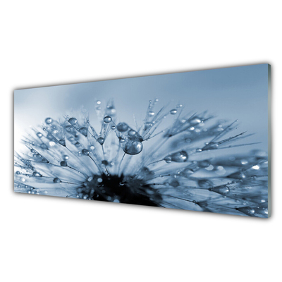 Panneaux de cuisine en verre Pissenlit floral bleu