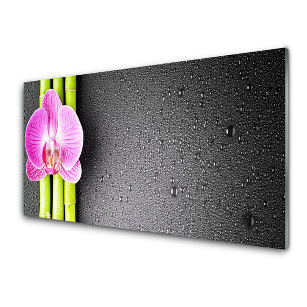 Panneaux de cuisine en verre Fleur bambou floral vert rose