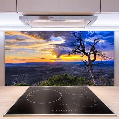 Panneaux de cuisine en verre Arbre paysage brun