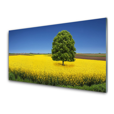 Panneaux de cuisine en verre Arbre prairie nature jaune brun vert