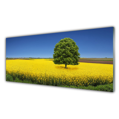 Panneaux de cuisine en verre Arbre prairie nature jaune brun vert