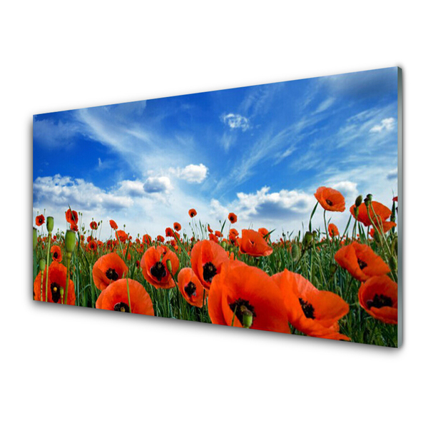 Panneaux de cuisine en verre Coquelicots floral vert rouge