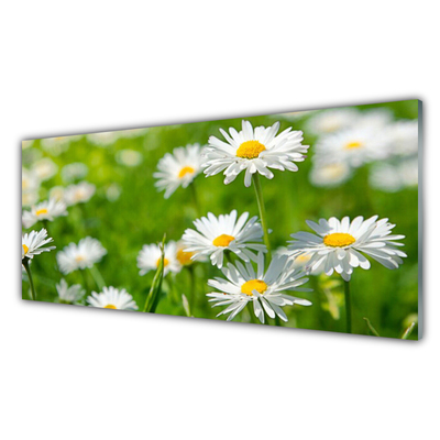 Panneaux de cuisine en verre Marguerite floral jaune blanc