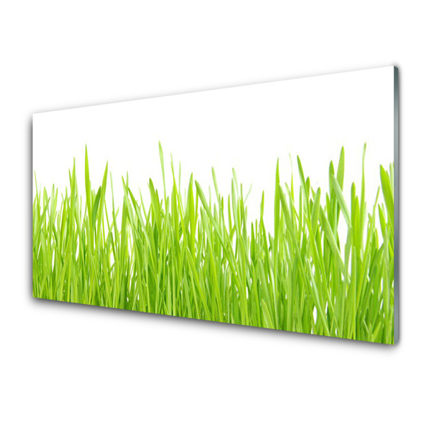 Panneaux de cuisine en verre Herbe nature vert