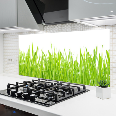 Panneaux de cuisine en verre Herbe nature vert