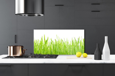 Panneaux de cuisine en verre Herbe nature vert