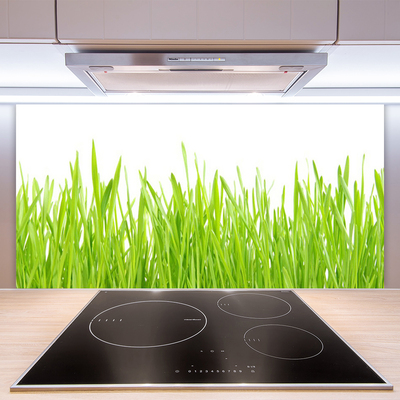 Panneaux de cuisine en verre Herbe nature vert